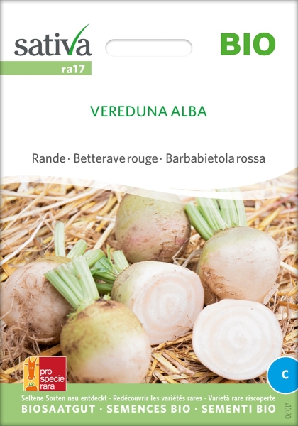 Bio Rote Rüben Vereduna alba