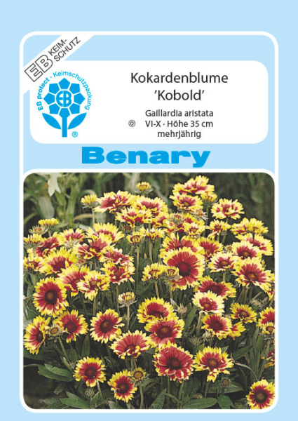 Kokardenblume Kobold MHD 12/25