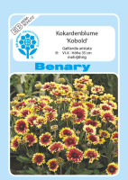 Kokardenblume Kobold MHD 12/25