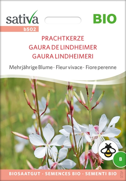 Bio Prachtkerze