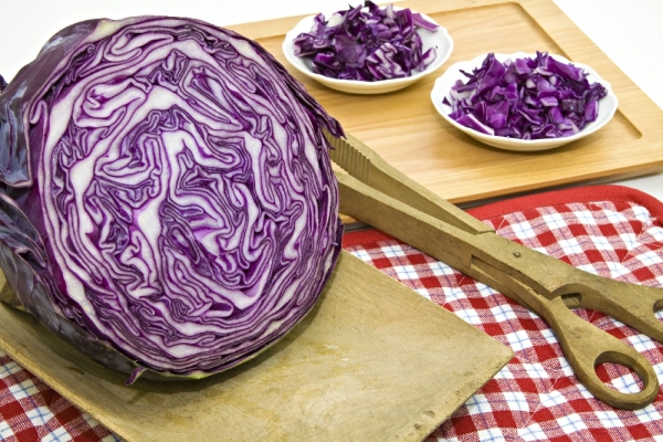 Bio Rotkohl Red Drumhead