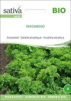 Bio-Asiasalat Wasabino