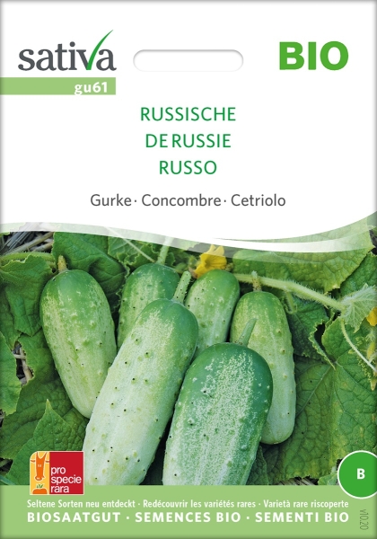 Bio Russische Gurke