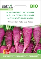 Bio Winterrettich Blauer Herbst und Winter