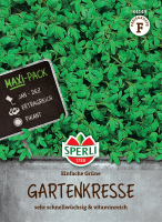 Gartenkresse Einfache grüne 50g