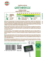 Gartenkresse Einfache grüne 50g
