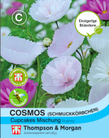 Schmuckkörbchen Cosmos Cupcakes Mischung