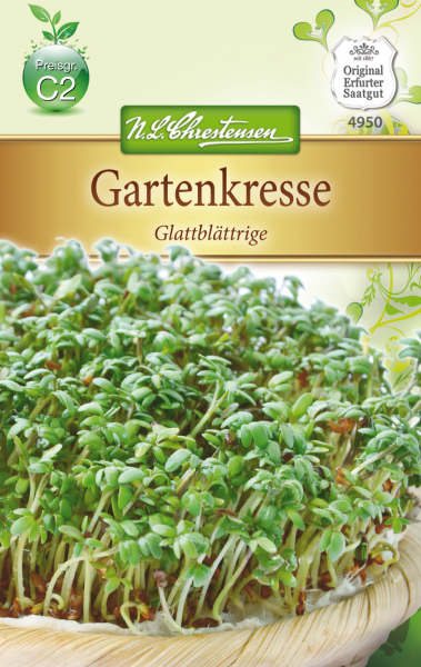 Gartenkresse Glattblättrige