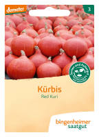 Bio-Kürbis Hokkaido Red Kuri