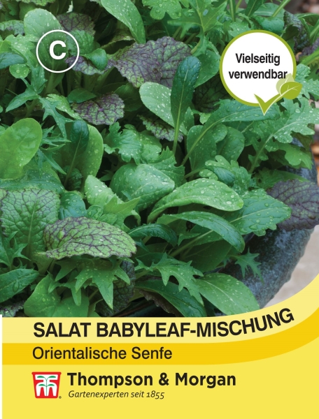 Salat Babyleaf-Mischung  Orientalische Senfe MHD 12/24