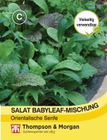 Salat Babyleaf-Mischung  Orientalische Senfe