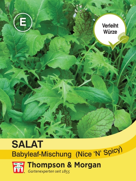 Salat Babyleaf-Mischung Nice n Spicy MHD 12/24