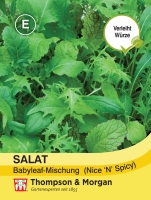 Salat Babyleaf-Mischung Nice n Spicy