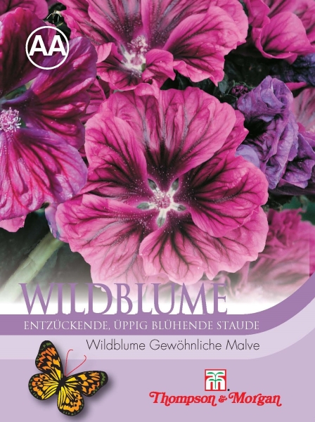 Wildblume Gewöhnliche Malve