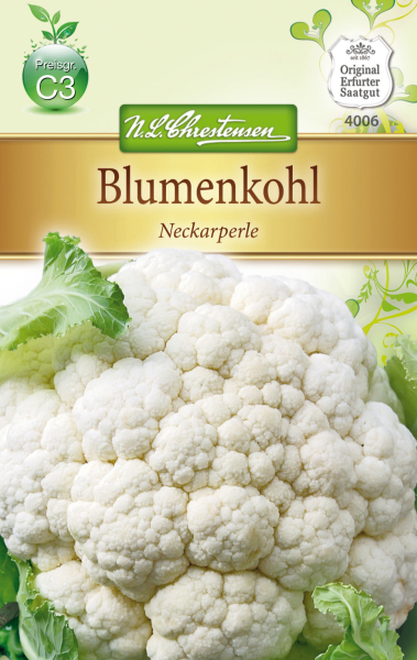 Blumenkohl Neckarperle MHD 01/26
