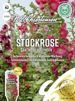 Stockrose Antwerp Mix Rostresistent