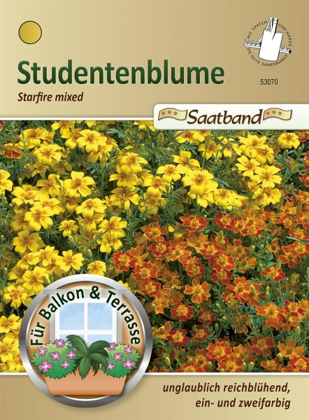 Tagetes Starfire Mix 2m Saatband MHD 01/25