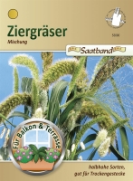 Ziergräser einjährig Mix 2m Saatband MHD 1/26