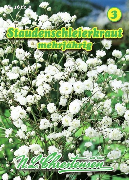 Staudenschleierkraut