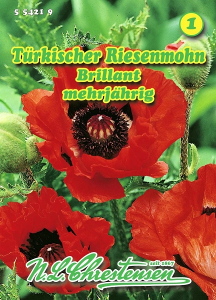 Türkischer Riesenmohn Brillant