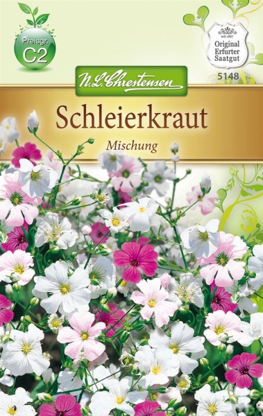 Schleierkraut Mischung