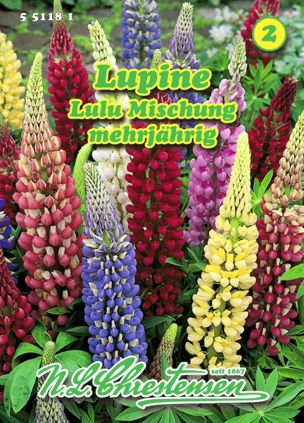Lupine Lulu Mix mehrjährig