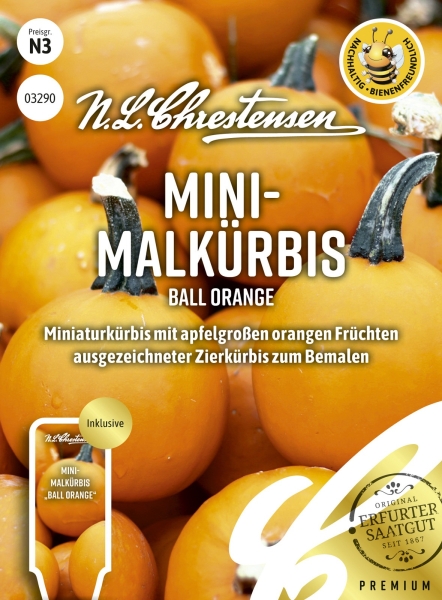 Mini-Malkürbis Ball Orange MHD 1/24