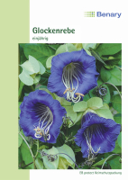 Cobea / Glockenrebe MHD 12/25