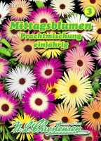 Mittagsblume