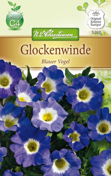 Glockenwinde Nolana