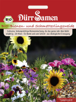 Bio-Blumen- und Schnmetterlingsweide