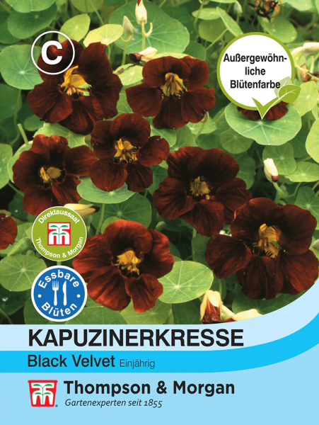 Kapuzinerkresse Black Velvet MHD 12/25