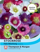 Stockrose Halo Mischung