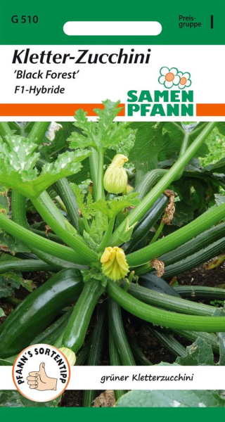 Kletter-Zucchini Black Forest F1