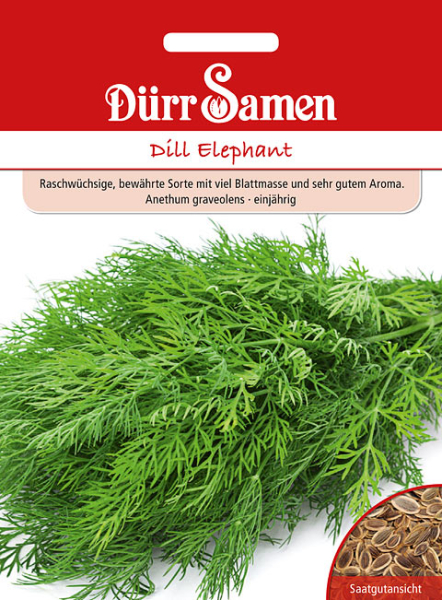 Dill Elephant