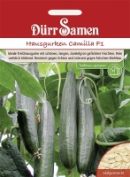 Salatgurke Euphya