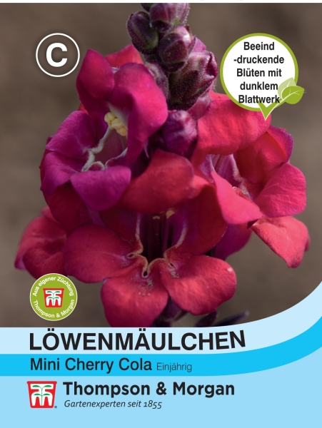 Löwenmäulchen Mini Cherry Cola