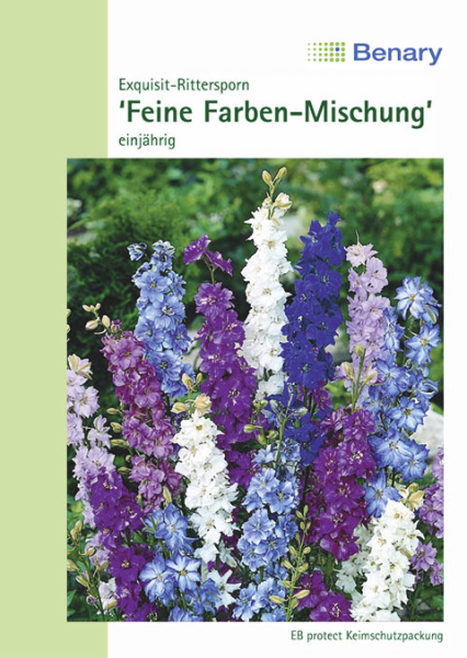 Rittersporn Feine Farben einjährig