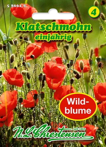 Klatschmohn