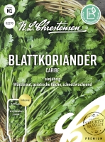 Blattkoriander Caribe