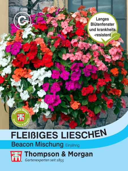 Fleißiges Lieschen Beacon Mischung MHD 12/26