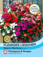 Fleißiges Lieschen Beacon Mischung MHD 12/26