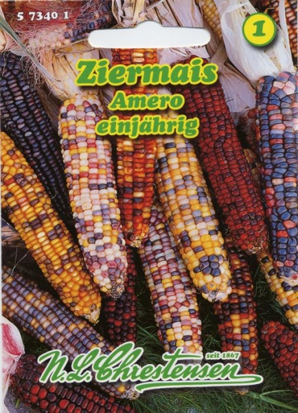 Ziermais Amero MHD 01/26