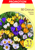 Botanische Crocus Mix 10cm 50 Stk.
