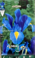 Iris hollandica sapphire beauty