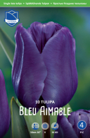 Tulpe Blue Aimable 50cm 10 Stk.