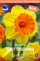 Narzisse Mary Bohannon