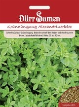 Gründünger Alexandrinerklee 250g