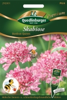 Skabiose Bonbon Queen