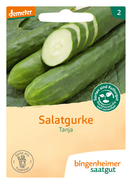 Bio-Salatgurke Tanja